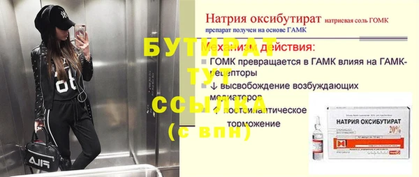 шишки Горняк