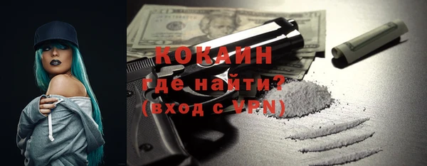 шишки Горняк