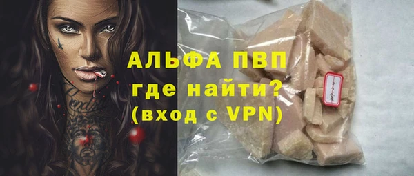 стаф Горнозаводск