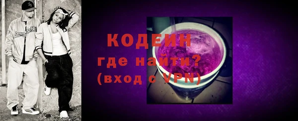 шишки Горняк