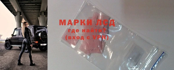 стаф Горнозаводск