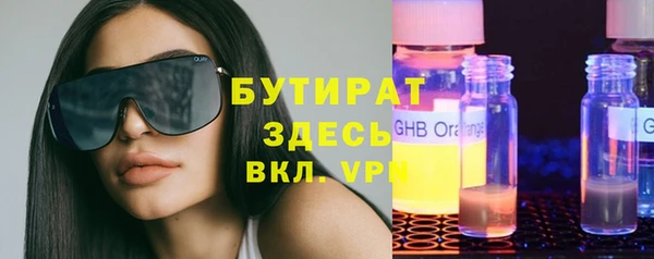шишки Горняк