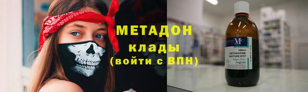 шишки Горняк