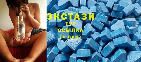 шишки Горняк