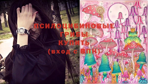 шишки Горняк