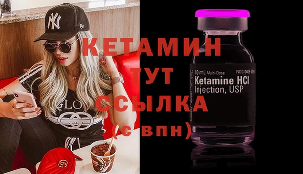 шишки Горняк