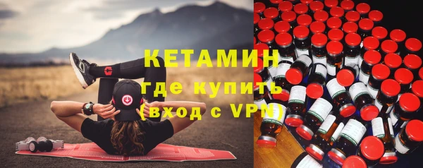 шишки Горняк