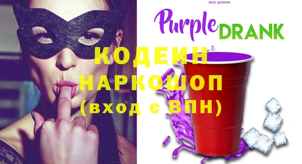 шишки Горняк