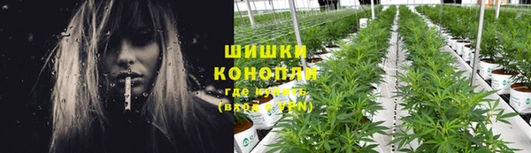 шишки Горняк