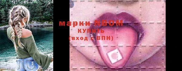 стаф Горнозаводск